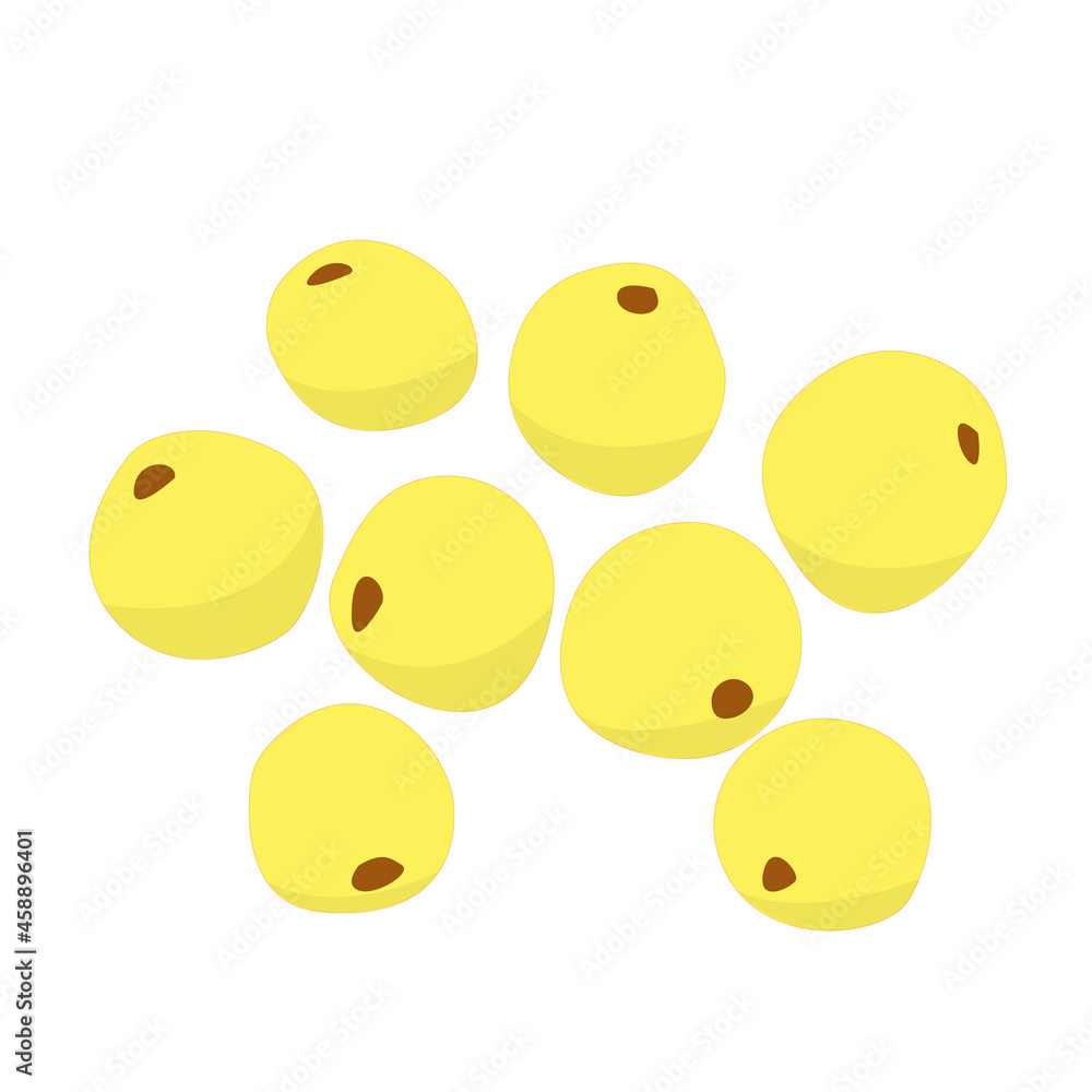 Millet vector isolated on white background. Millet vector isolated on white background.
