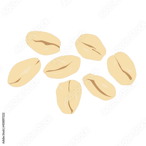Rolled oats vector close up isolated on white background.