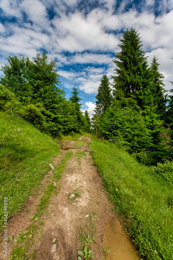 Autumn mountain landscape - yellowed and reddened autumn trees combined with green needles and blue skies. Colorful autumn landscape scene in the Romanian Carpathians. Panoramic view. Autumn mountain landscape - yellowed and reddened autumn trees combined with green needles and blue skies. Colorful autumn landscape scene in the Romanian Carpathians. Panoramic view.