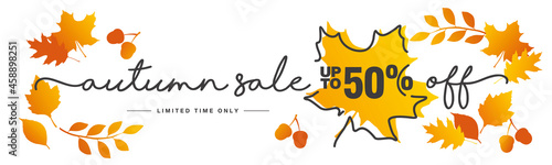 Autumn Sale up to 50 % off handwritten typography lettering line design autumn color leafs on white background