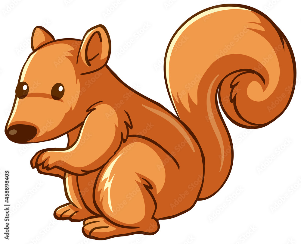 Squirrel animal cartoon on white background Squirrel animal cartoon on white background