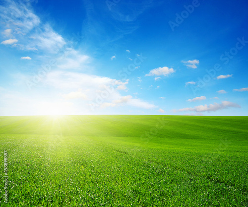Green field and sun.