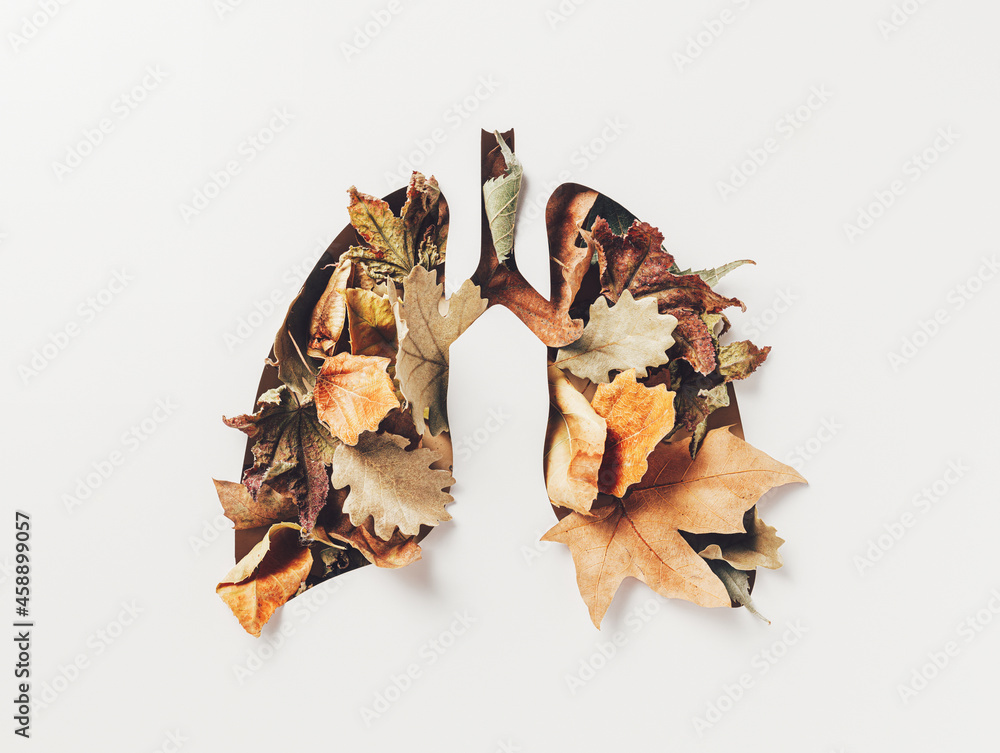 Human lungs made with fall dry leaves on white background. Minimal coronavirus or pneumonia concept. Green, world health or environment day and ecology concept. Autumn fashion minimal art. Flat lay. Human lungs made with fall dry leaves on white background. Minimal coronavirus or pneumonia concept. Green, world health or environment day and ecology concept. Autumn fashion minimal art. Flat lay.