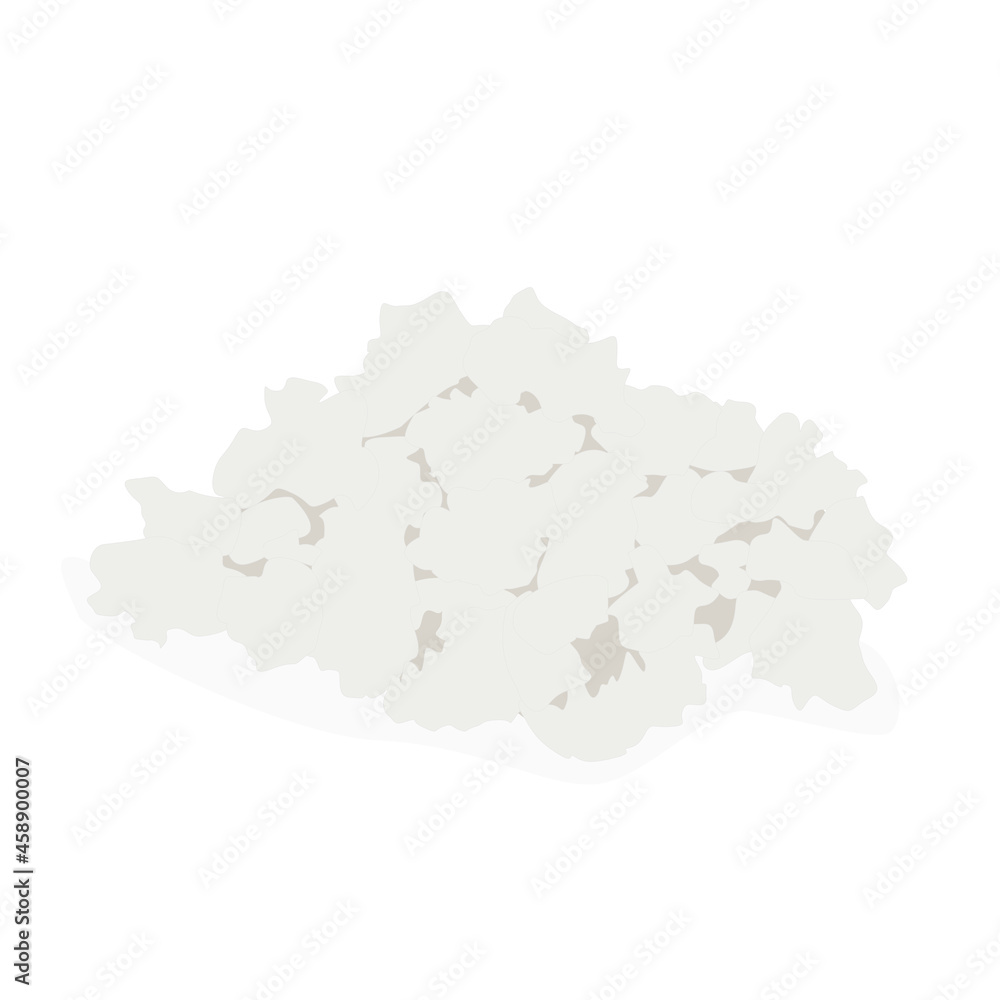 Obraz premium Cottage cheese vector isolated on white background.