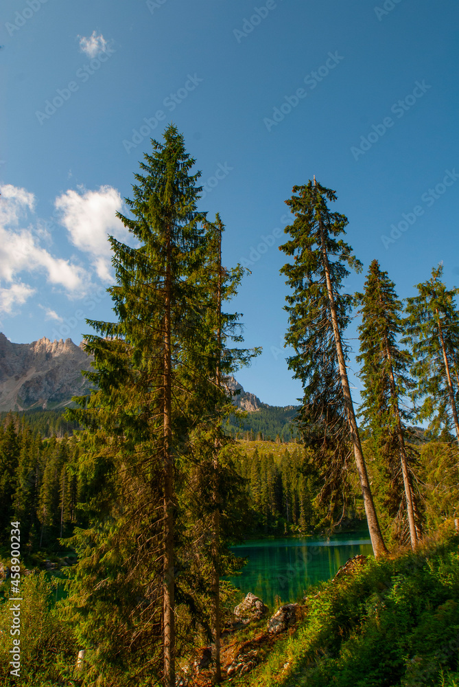 Carezza lake in front of Latemar, Lago di Carezza, Carezza, Dolomites, Trentino Province, Province of South Tyrol, August 2021, Italy