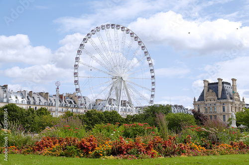 Beautiful view of tuileries Garden located in Paris, France. photo