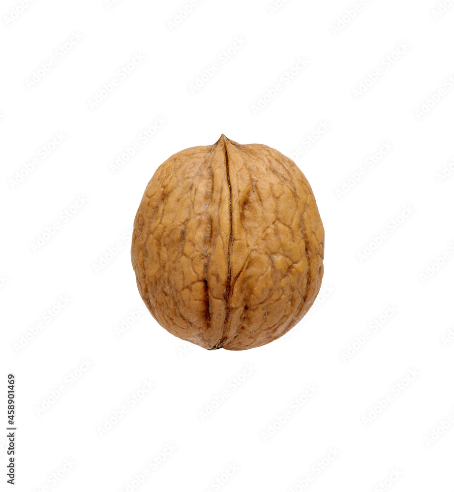 Single walnut on a white Single walnut on a white
