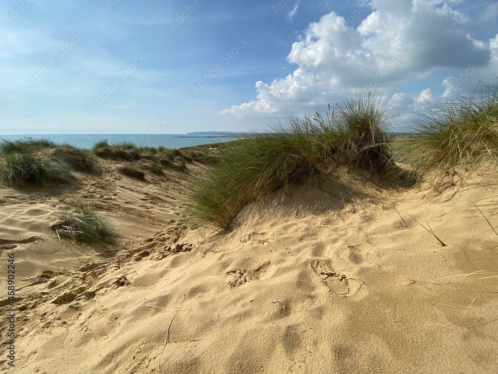 Camber sands East Sussex UK - view of Camber Sand dunes with sky and sea dunes held together with grasses stopping sand blowing away Camber sands East Sussex UK - view of Camber Sand dunes with sky and sea dunes held together with grasses stopping sand blowing away