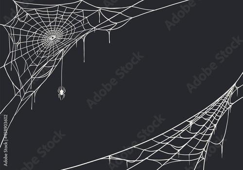 Web halloween for spider cards and background. October holidays spiderweb or cobweb