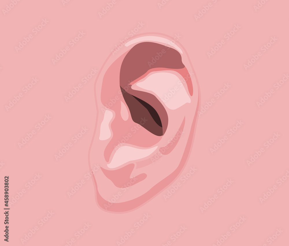Ear on face Vector Illustration. Ear on face Vector Illustration.