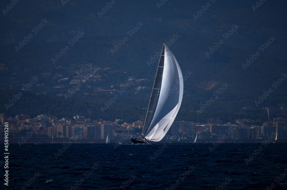 Maxi yacht sailing in the bay of palma de mallorca - obrazy, fototapety, plakaty 
