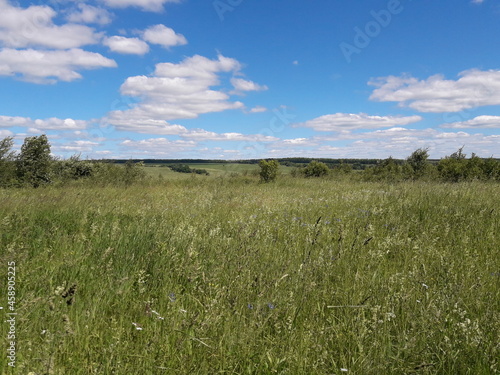 field, sky, landscape, wheat, grass, agriculture, nature, summer, meadow, cloud, farm, rural, spring, plant, countryside, horizon, crop, clouds, country, season, land, sun, tree, grain, day