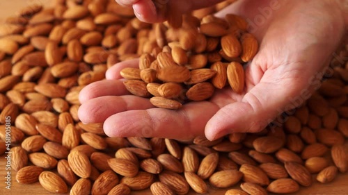 ripe clean walnut almonds close up. background. Almonds in the hands of a farmer.