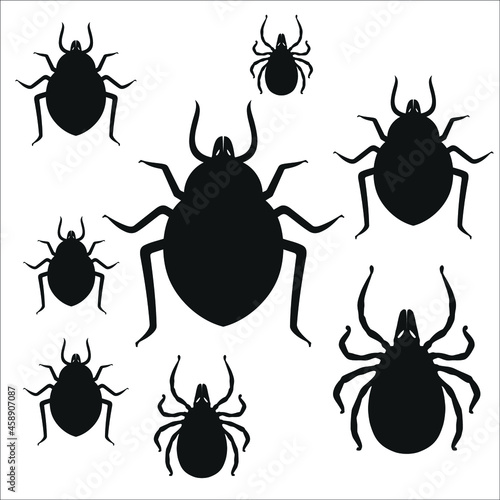 tick or pest or lice vector