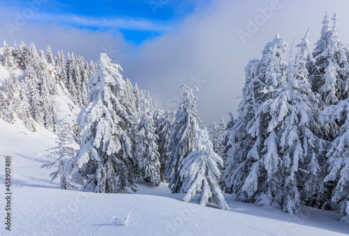 Poiana Brasov, Romania. Winter landscape in the Carpathians mountains.