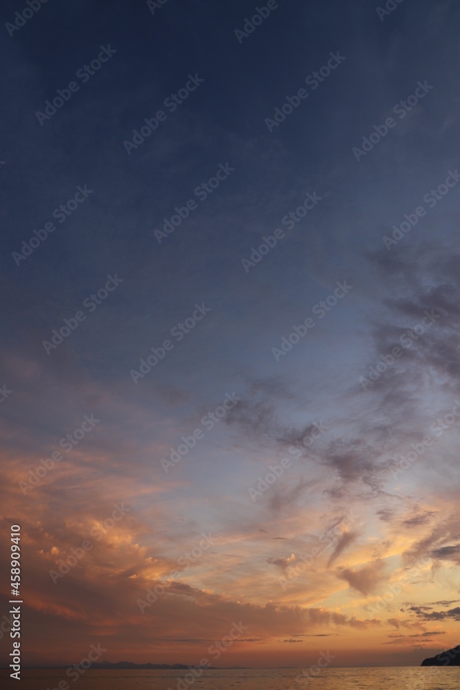 Naklejka premium SDGs地球の自然！瀬戸内海の光 『Fall Flowers』