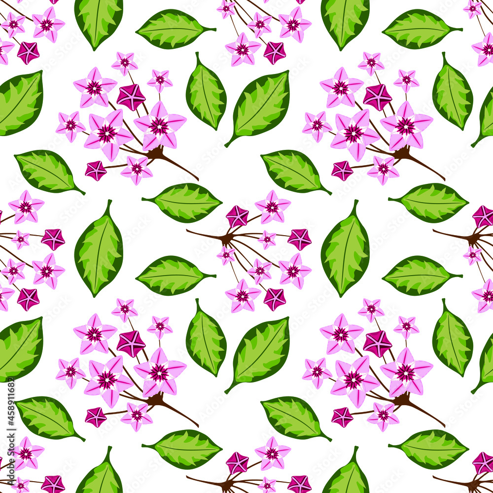 Seamless pattern with hoya home flower. Botanical vector illustration. Floral design for textile, fabric and wallpaper. Seamless pattern with hoya home flower. Botanical vector illustration. Floral design for textile, fabric and wallpaper.