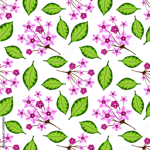 Seamless pattern with hoya home flower. Botanical vector illustration. Floral design for textile, fabric and wallpaper.