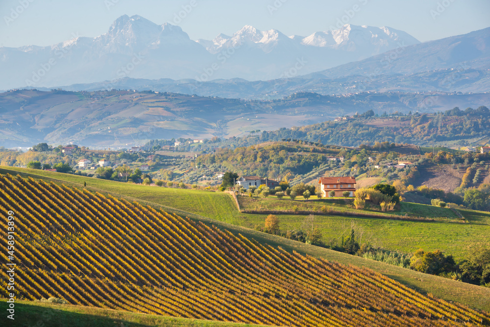 Vineyards on hills, agricaltural lands and countriside landscape