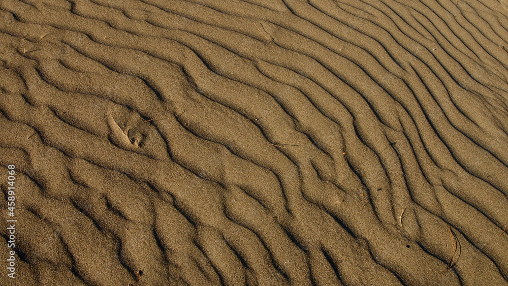 Spawning place of loggerhead turtles; Iztuzu beach. It is known for its blue crab and golden sands. Next to the Dalyan delta. Spawning place of loggerhead turtles; Iztuzu beach. It is known for its blue crab and golden sands. Next to the Dalyan delta.