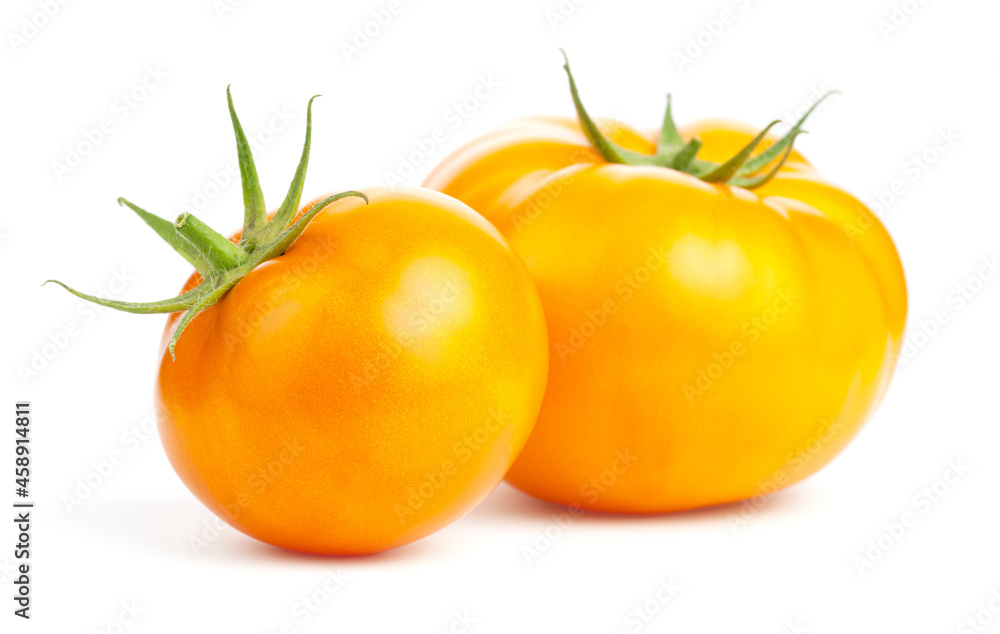 Yellow Tomatoes Isolated Over White Background Yellow Tomatoes Isolated Over White Background