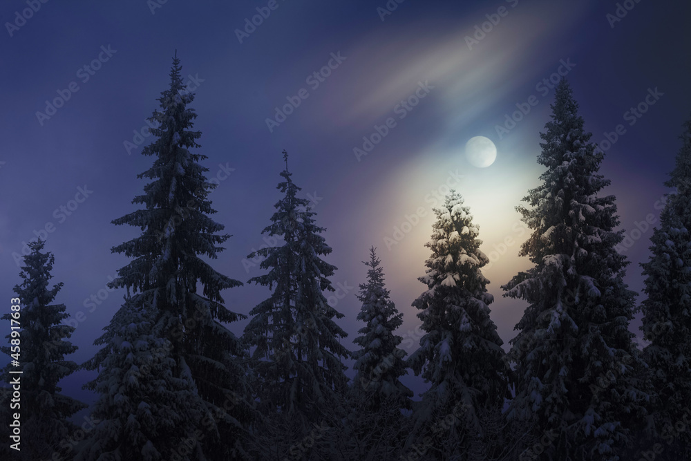 Moon night in winter forest
