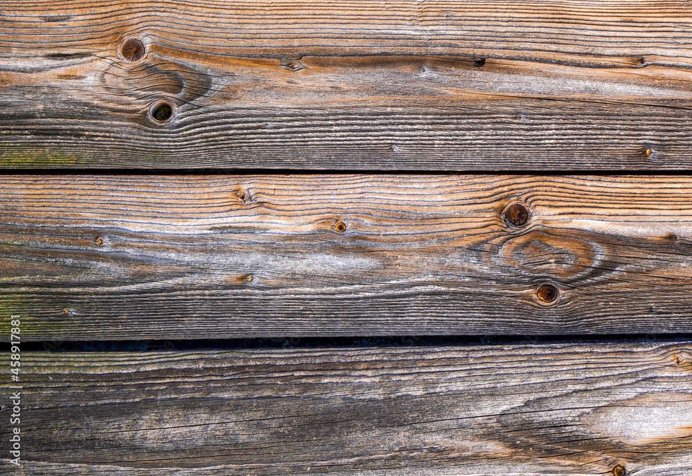 Natural wood with a fine structure, photographed outdoors in daylight Natural wood with a fine structure, photographed outdoors in daylight