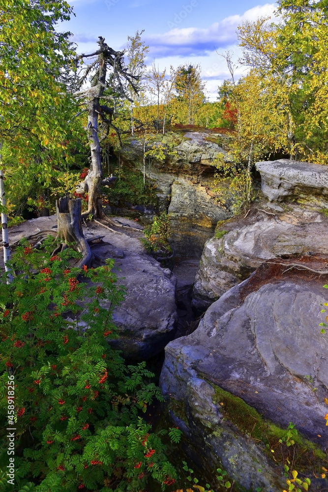 A sandstone plateau in the Kamenny Gorod tract (Gremyachinsky district, Russia) is overgrown with young trees