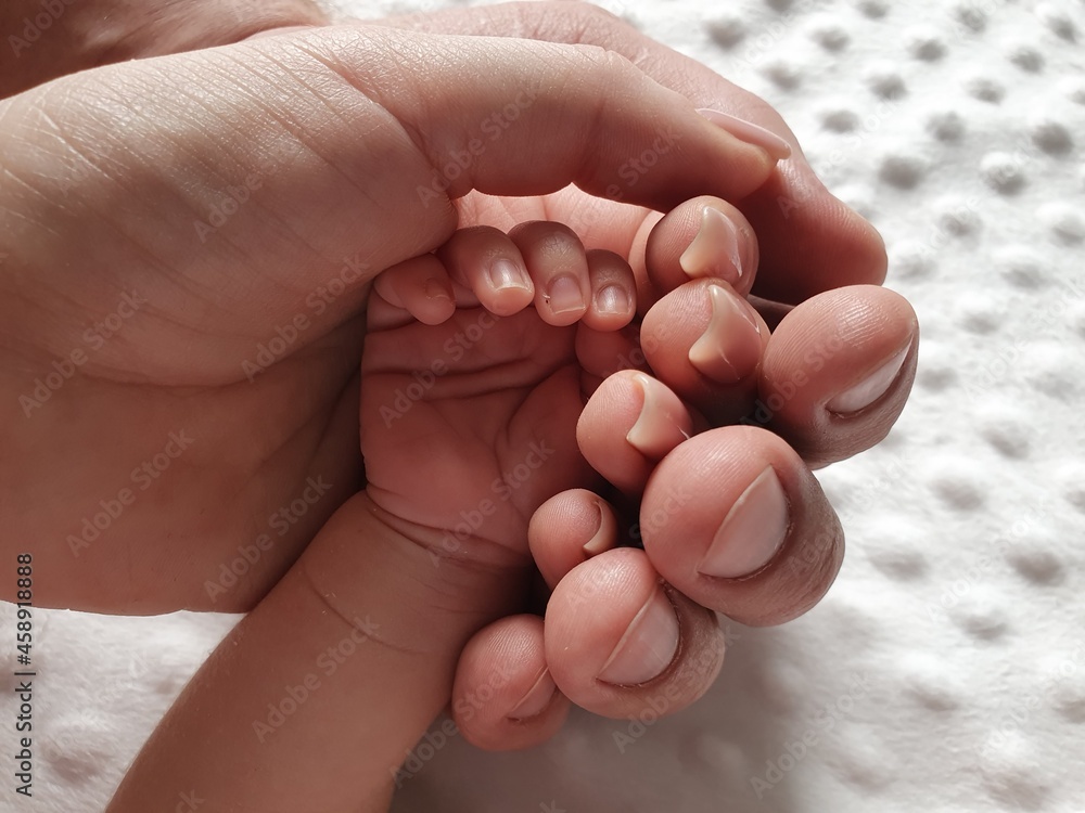 baby, hand, child, foot, newborn, love, mother, care, hands, feet, family, finger, infant, kid, holding, parent, fingers, body, people, small, skin, childhood, hold, tiny, massage baby, hand, child, foot, newborn, love, mother, care, hands, feet, family, finger, infant, kid, holding, parent, fingers, body, people, small, skin, childhood, hold, tiny, massage