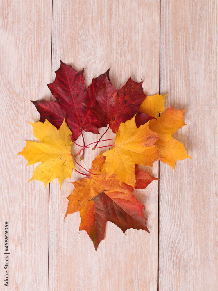 Multicolored autumn maple leaves on an old wooden table Multicolored autumn maple leaves on an old wooden table