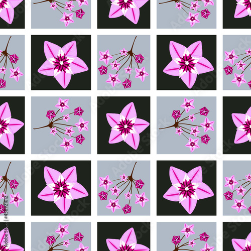 Seamless pattern with hoya home flower. Botanical vector illustration. Floral design for textile, fabric and wallpaper.