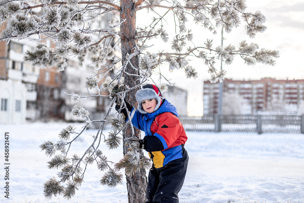 Little boy having fun playing with fresh snow. Snow fight. Kid dressed in a warm clothes, hat, hand gloves.. Active outdoors leisure for child on nature in snowy winter day.