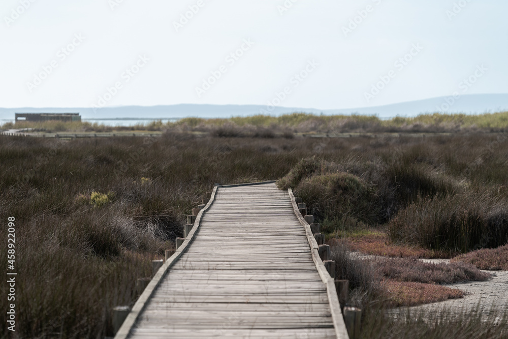 West coast national park. Wooden bridge over swamp in south africa. Located at the Geelbek bird hide next to cape town