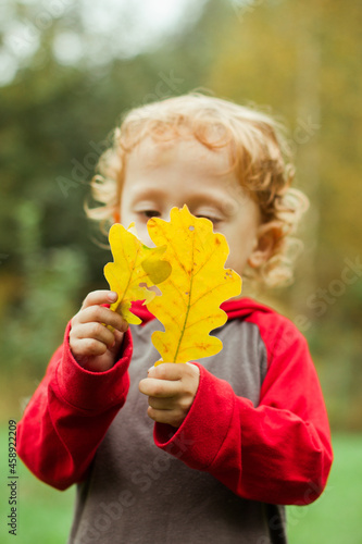 Autumn leaves in hand of little boy