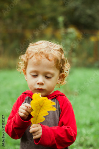 Autumn leaves in hand of little boy