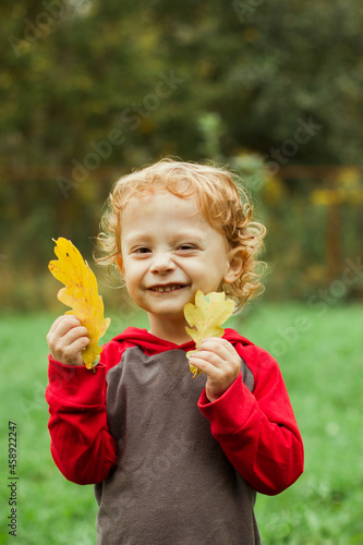 Autumn leaves in hand of little boy