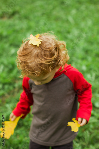 Autumn leaves in hand of little boy