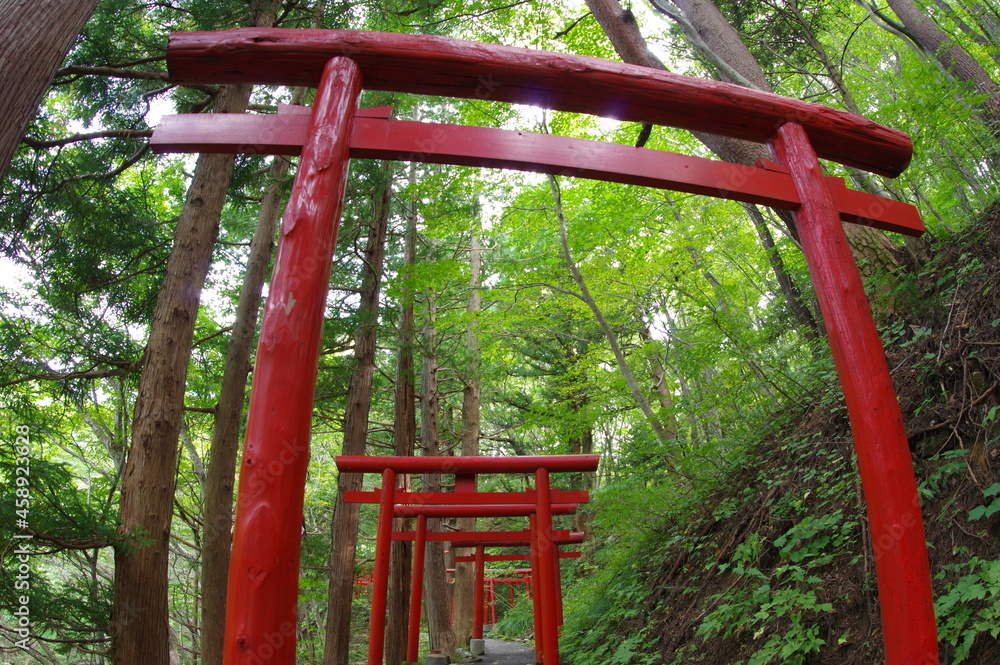 宮城県白石市小原地区の萬蔵稲荷神社参道に並ぶ鳥居を撮影