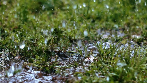  Heavy rain on grass