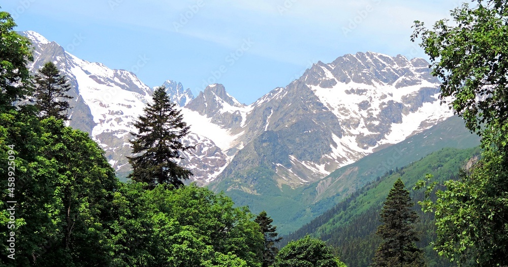 Pine trees in front of a snow-capped peak. Mountains with snow in ...
