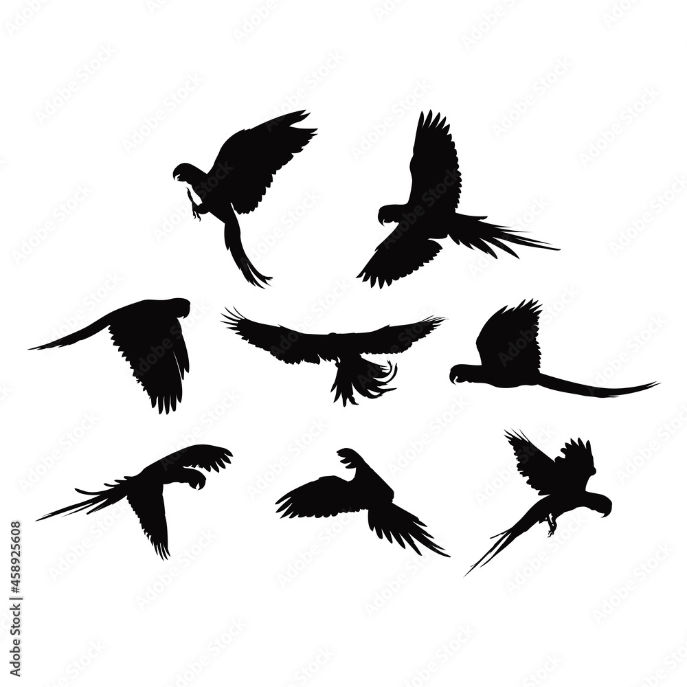Macaw bird silhouette, fliying bird silhouette Macaw bird silhouette, fliying bird silhouette