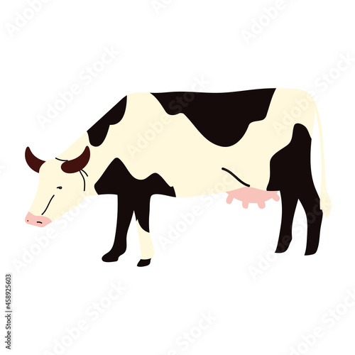 farm cow animal