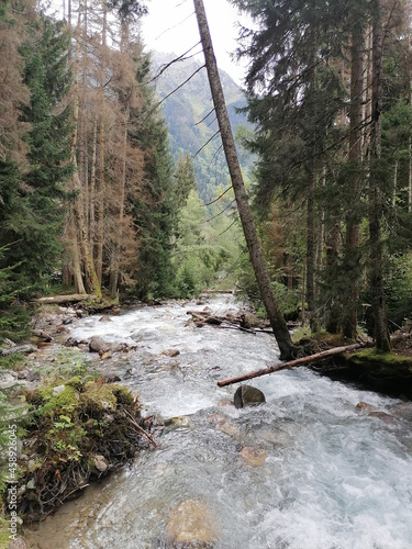 mountain river in a wooded area, russian reserve