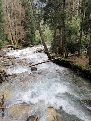 mountain river in a wooded area, russian reserve