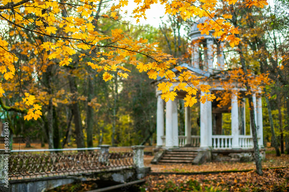 Naklejka premium Old damaged cofee pavillion an autumn