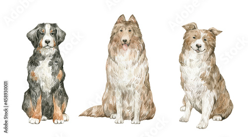 Photography Watercolor set with cute dogs isolated on white background