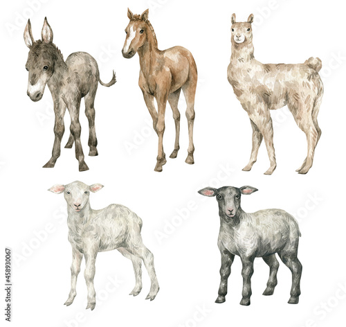 Fotobehang Watercolor set with cute farm animals