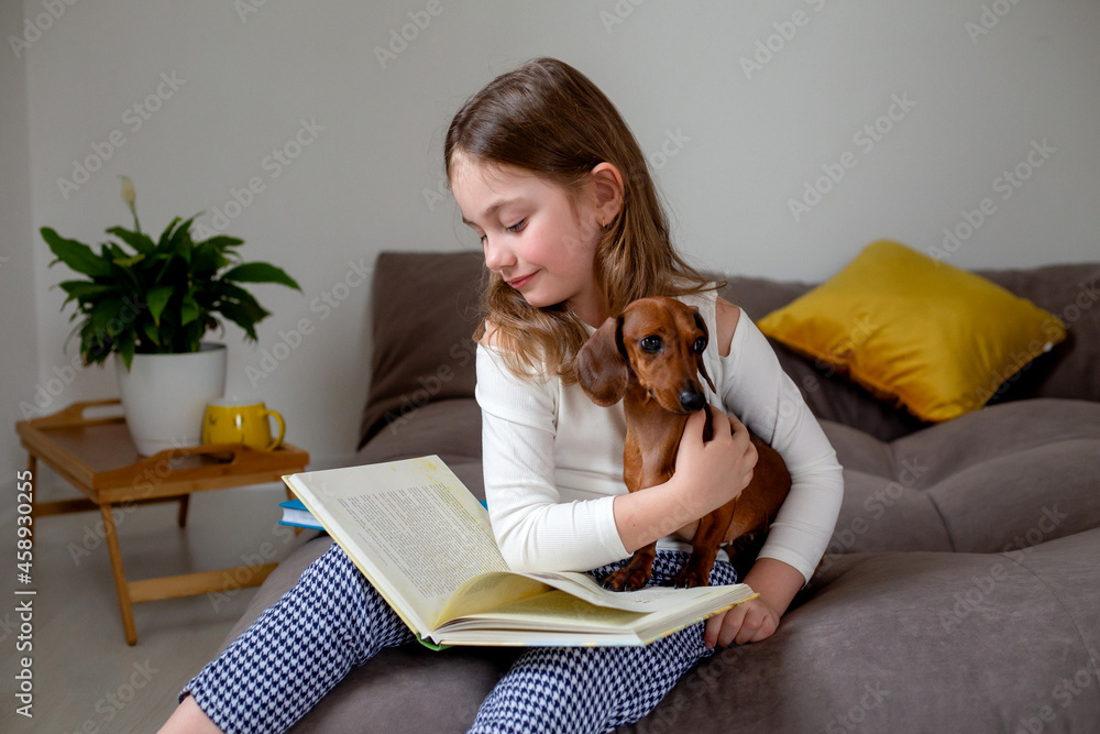 cute little girl with a dwarf dachshund is sitting on the bed and ...