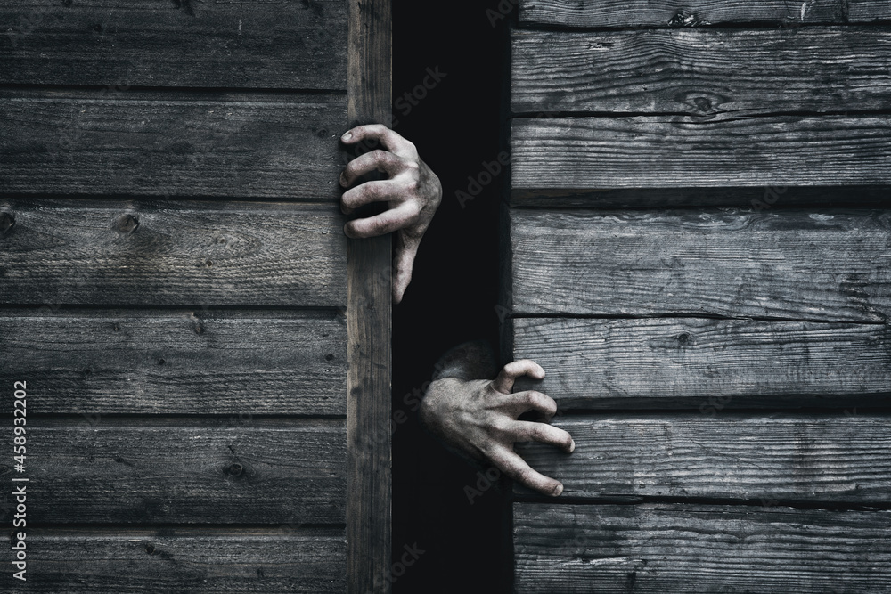 Zombie hands rising out from gap. Old wooden barn. Close up. Darkness horror and halloween background concept.
 - obrazy, fototapety, plakaty 