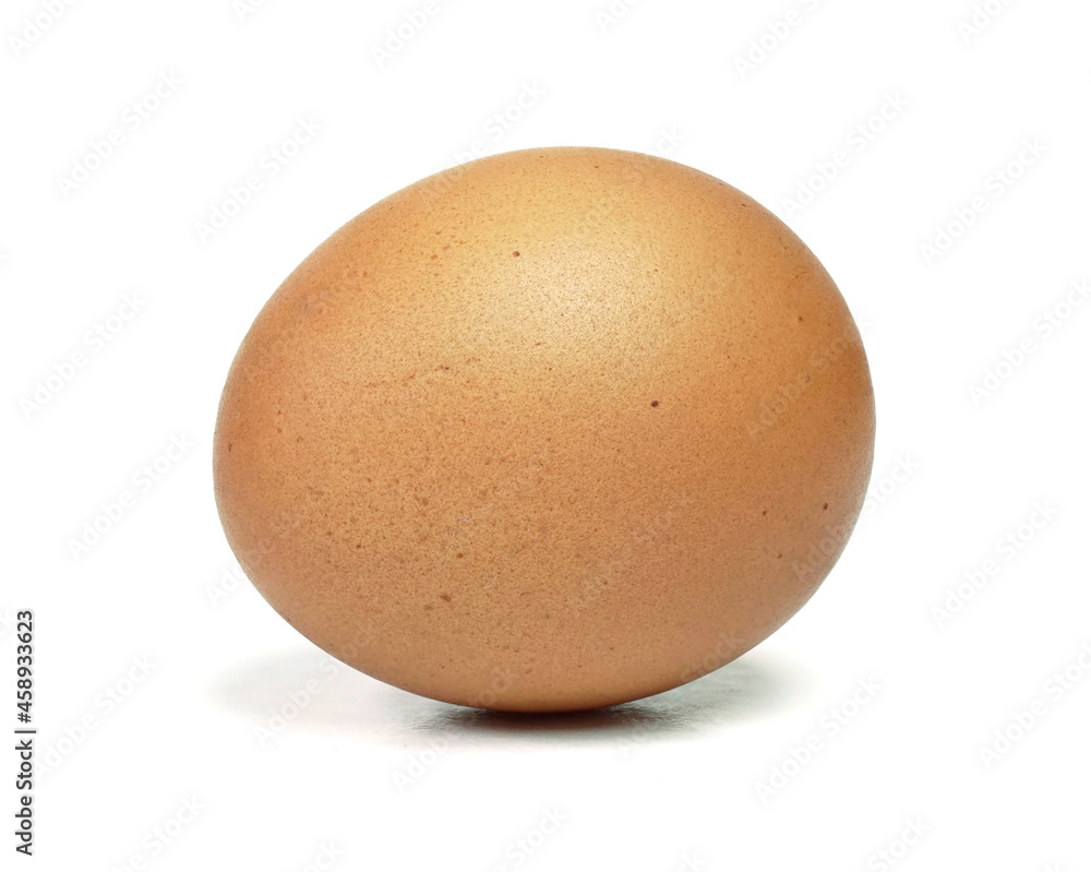 Single raw chicken egg, Speckled egg, Close up, Isolated on white background Single raw chicken egg, Speckled egg, Close up, Isolated on white background